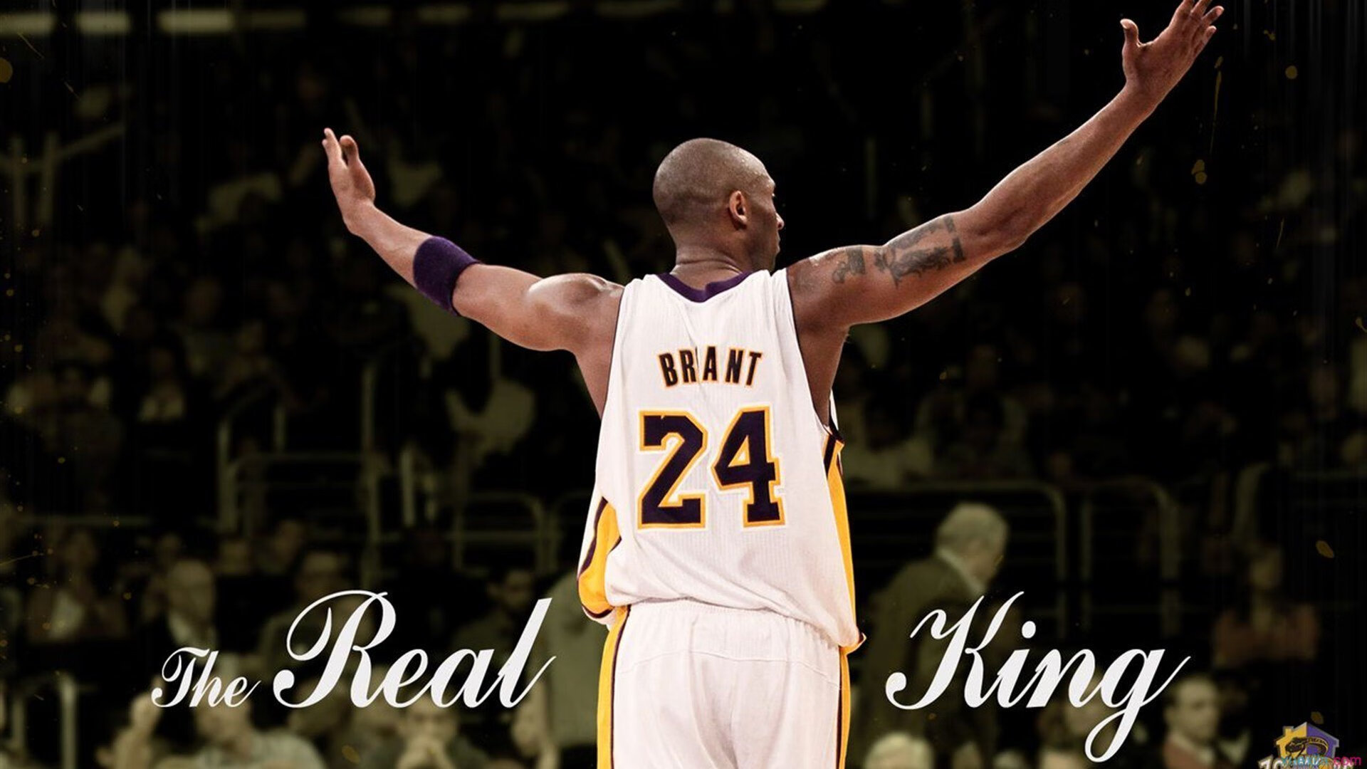 科维托娃迎来七赛季高光表现，MAD球迷沸腾！